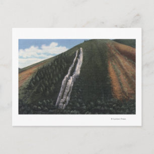 The Devil's Slide near Utah-Wyoming Border Postcard