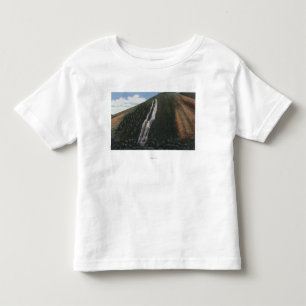 The Devil's Slide near Utah-Wyoming Border Toddler T-Shirt