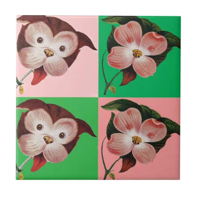 the difference between dog and dogwood tile (Front)