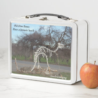 The dinosaur Lunch Box, School Supplies, Metal Lunch Box