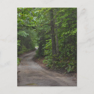The Dirt Road in summer Postcard