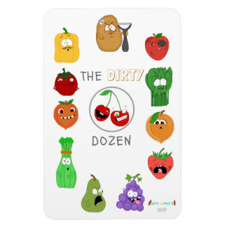 The Dirty Dozen Illustrated List - 2017 Edition Magnet