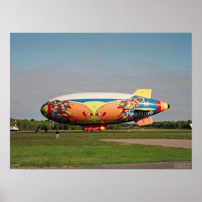 The Division Belle Poster (Front)