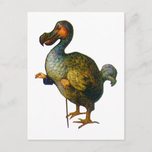 The Dodo Bird Postcard