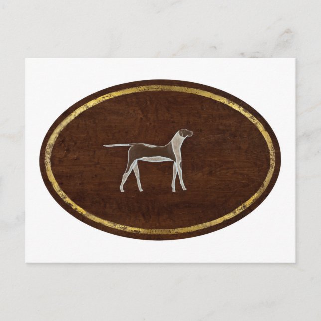 The Dog 2009 Postcard (Front)