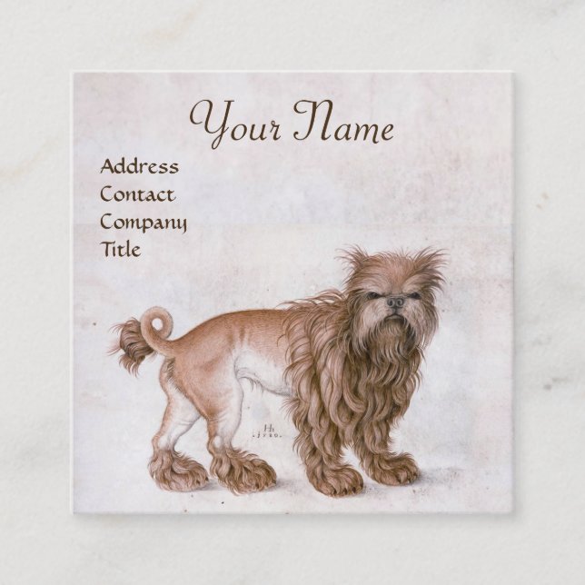 THE DOG / Affenpinscher/ Veterinary,Veterinarian Square Business Card (Front)