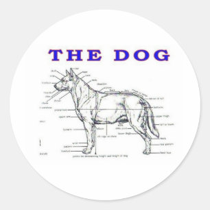 THE DOG CLASSIC ROUND STICKER