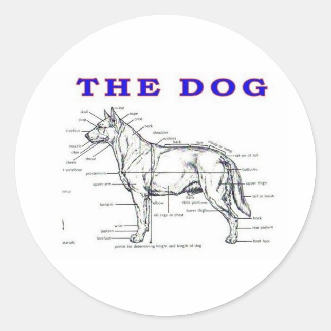 THE DOG CLASSIC ROUND STICKER (Front)