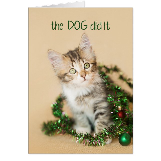 The Dog Did it Kitten (Front)
