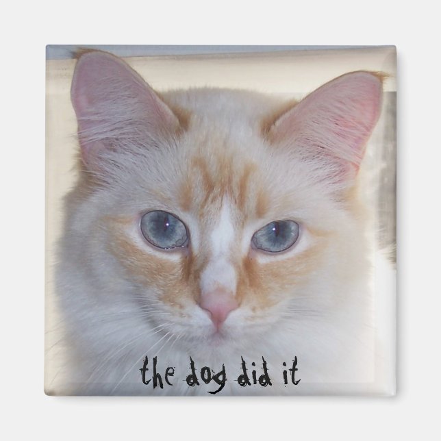 THE DOG DID IT MAGNET (Front)