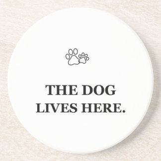 The Dog Lives Here You're the Guest Funny Dog Coas Coaster