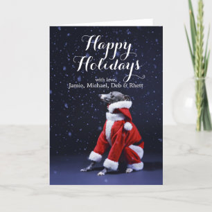 The dog sits putting on Father Christmas Holiday Card