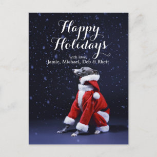 The dog sits putting on Father Christmas Holiday Postcard