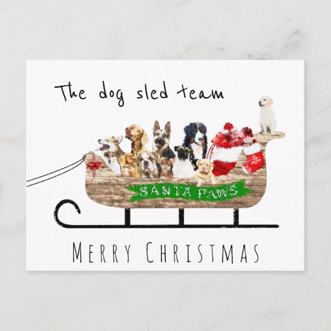The dog sled team dog santa sleigh merry christmas postcard (Front)