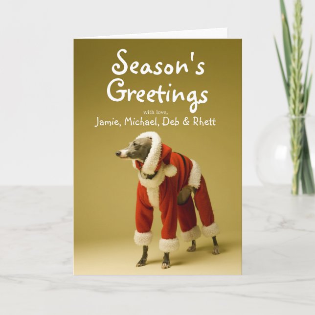 The dog wears Father Christmas's clothes 2 Holiday Card (Front)