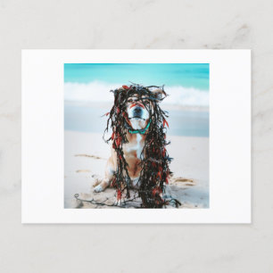 The dog with Seaweed in her hair Holiday Postcard