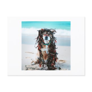 The dog with Seaweed in her hair Holiday Postcard