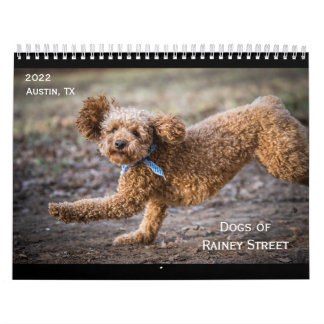 The Dogs of Rainey Street Calendar
