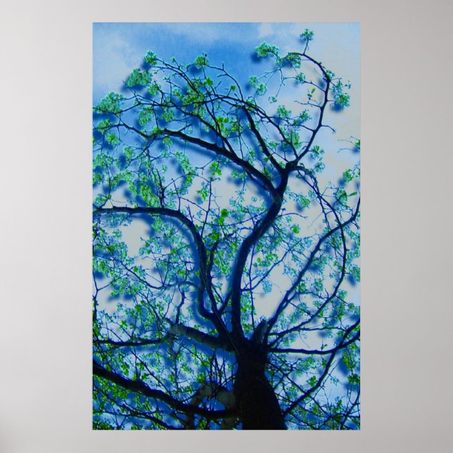 The Dogwood Rendition III Poster (Front)