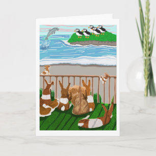 The Dolphin 🐬 And The Penguins 🐧  Card