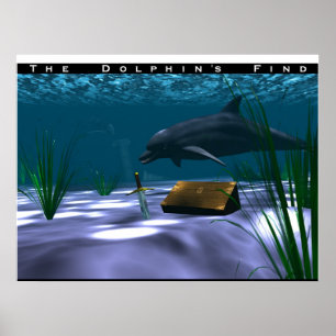 The Dolphin's Find Poster