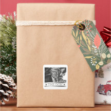 The Don Pencil Drawing