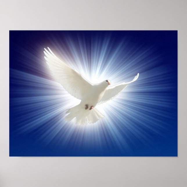 the dove in light poster (Front)