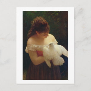 The Dove Postcard