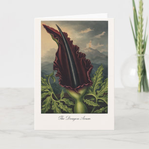 The Dragon Arum — Modern Botanical Reinterpretatio Card