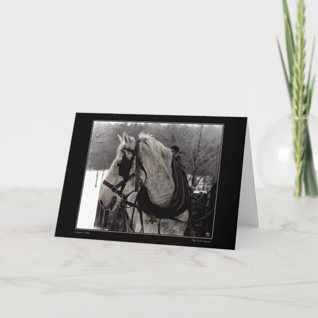 The Draught Horse Greeting Card (Front)