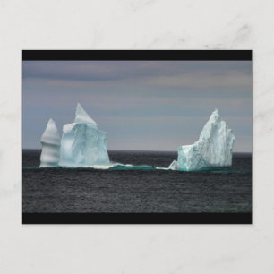 The Drifter Postcard