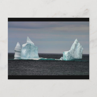 The Drifter Postcard