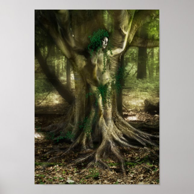 The Dryad Poster (Front)