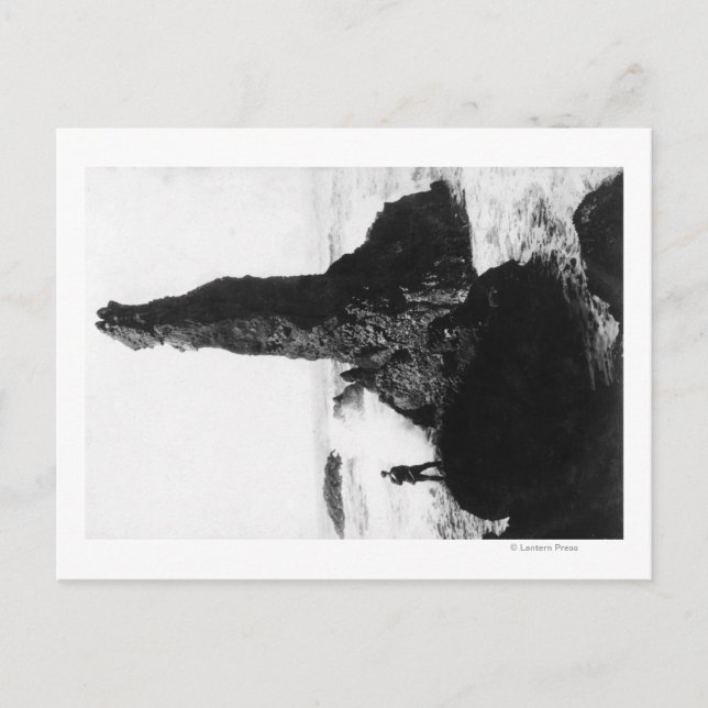 The Duchess Rock at Newport, Oregon Postcard (Front)