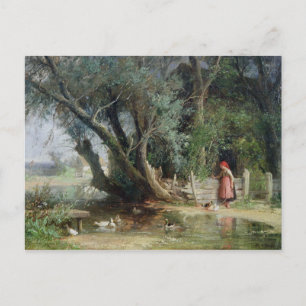The Duck Pond Postcard
