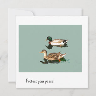 The ducks. Protect your peace