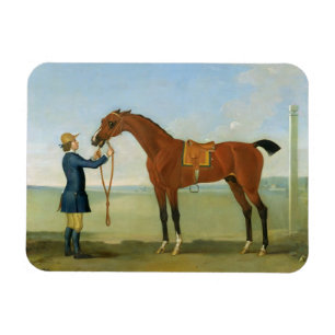 The Duke of Devonshire's Flying Childers, 1742 (oi Magnet