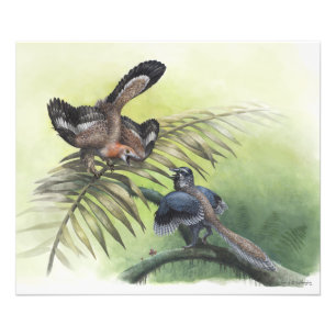 The Earliest Bird Photo Print