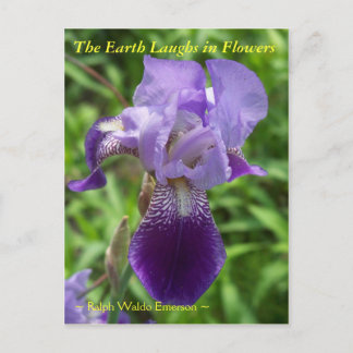 THE EARTH LAUGHS IN FLOWERS - IRIS POSTCARD