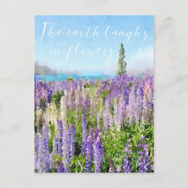 The earth laughs in flowers lavender quote postcard (Front)