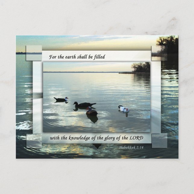 The Earth Shall Be Filled Postcard (Front)