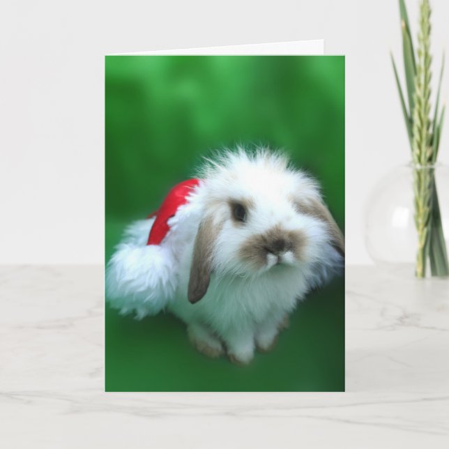 The Easter, Umm, Christmas Bunny Holiday Card (Front)