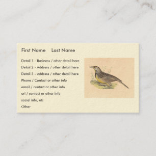 The Eastern Meadowlark (Sturnella magna) NY Birds Business Card