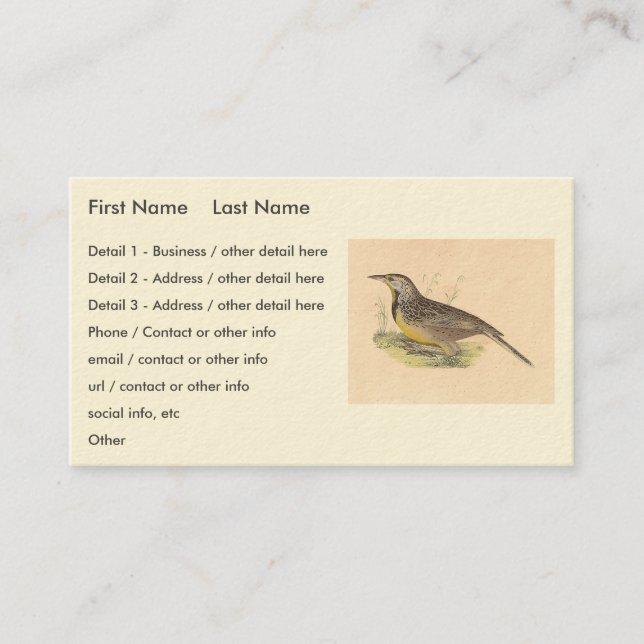The Eastern Meadowlark (Sturnella magna) NY Birds Business Card (Front)