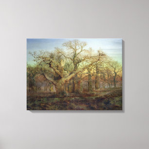 The Edge of Sherwood Forest, 1878 Canvas Print