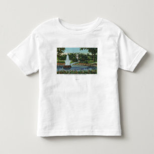 The Electric Fountain and Falls Toddler T-Shirt