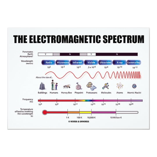The Electromagnetic Spectrum (Physics) Card