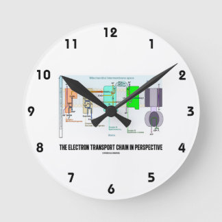 The Electron Transport Chain In Perspective Round Clock