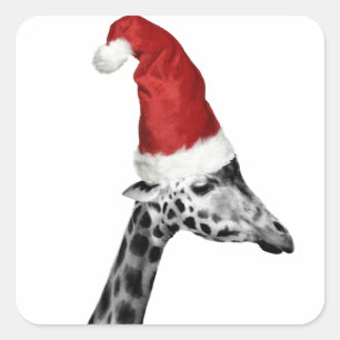 The Elegance of the Christmas Giraffe Square Sticker