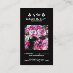 The Elements   Environment V Business Card